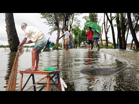 বন্যায় প্লাবিত প্রজেক্ট রাস্তায় মাছ ধরার হিড়িক | Amazing Fishing video #flood #fishing #fish