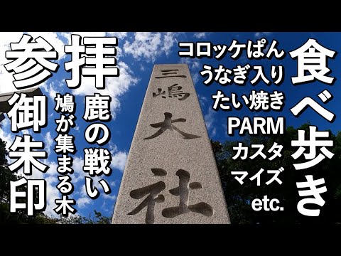 【静岡観光】三島グルメを低予算で食べ歩く日帰り女子旅行Vlog♪三嶋大社で鹿のぶつかり合いにビビりまくりご当地グルメに舌鼓♪