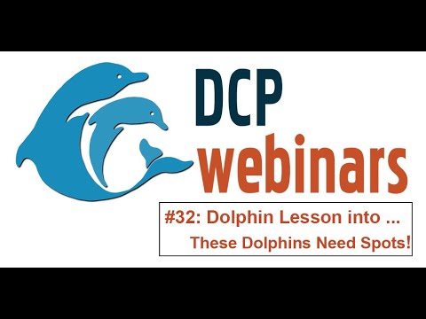 DCP Dolphin Lesson: Help! These Dolphins Need Spots!