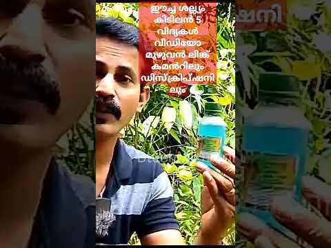 ഈച്ചശല്ല്യം കിടിലൻ 5 വിദ്യകൾhttps://youtu.be/-eLj_uVhKX0?si=YDwwQPV5W2D4KyXT    #viralshots #flykill