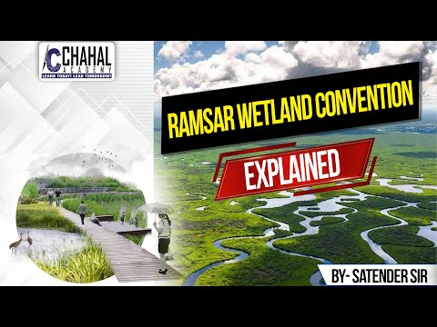 Ramsar Wetland Convention: Protecting Our Planet's Vital Ecosystems