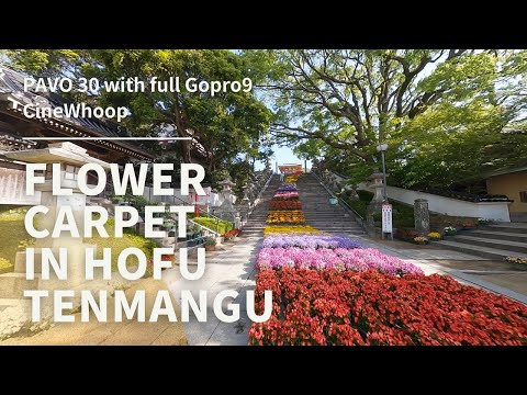 ▲CINEWHOOP▲マイクロドローンで防府天満宮　Flower steps & beautiful　shrine in Yamaguchi