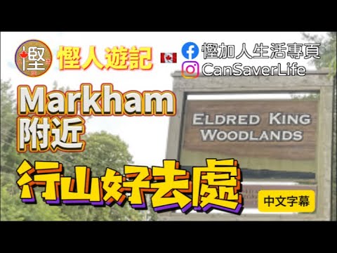 慳人遊記 - Eldred King Woodlands - Stouffville 今次同大家介紹一個Markham附近行山好去處! 簡單而去方便初學人士! #慳人遊記 #eldredking