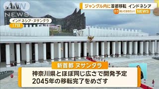 ジャングル内に首都移転　インドネシア　【知っておきたい！】【グッド！モーニング】(2024年8月19日)