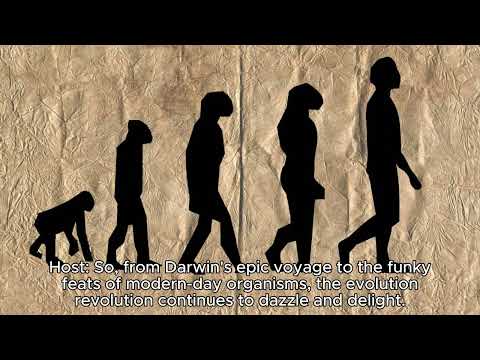 Evolution Revolution: Unveiling Science Marvels!