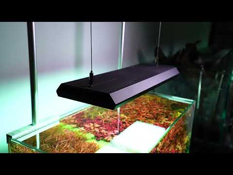 Chihiros RGB VIVID 2 aquascape 60*30*36cm