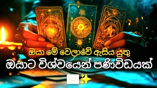 ඔයාට විශ්වයෙන් පණිවිඩයක්. ✉️✨️A message from the universe #tarotsinhala