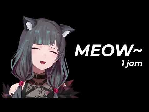 MEEEOWWW~ (versi 1 jam) | Astelica Kasdea Ch.【デア】