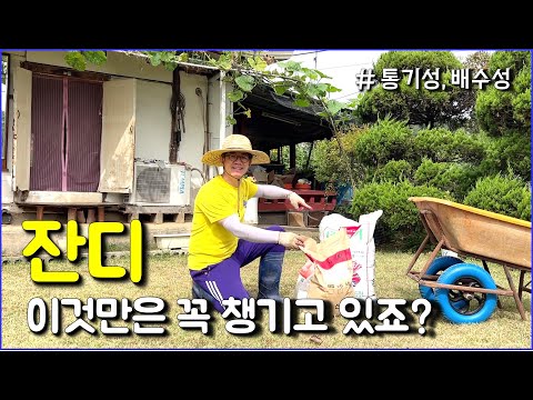 잔디키우는 분이 꼭! 생각하고 있어야 하는 것 / lawn, grass, countryside, rustic, gardening