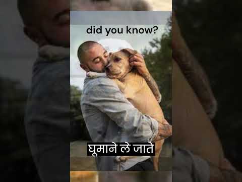 अपने डॉगी की ये अद्भुत बातें आप भी नहीं जानते होंगे #dogs #bonding #shorts #facts #explore pawpal