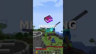 best enchantment for elytra in minecraft #minecraft #elytra #minecrafttipsandtricks