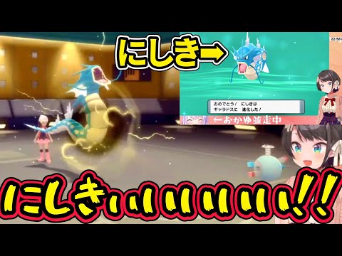 【大空スバル/猫又おかゆ】コイキング『にしき』ついに『龍』になる【ホロライブ切り抜き】