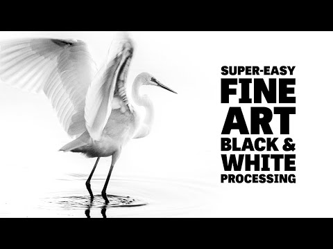 Mastering Monochrome: Turning Colour Photos into Fine Art with Nik Silver Efex and Lightroom Classic