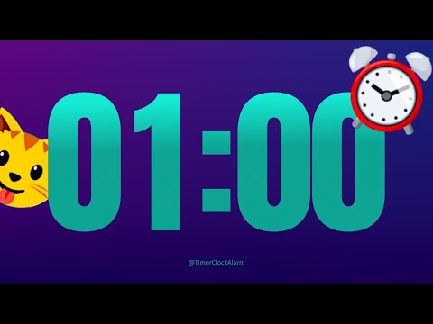 1 minute Timer (Countdown)