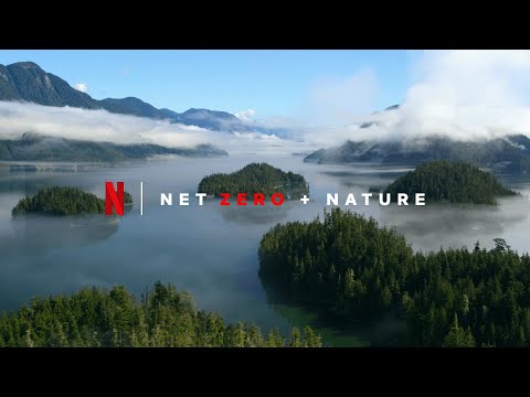 Netflix + Sustainability - Net Zero By the End of 2022