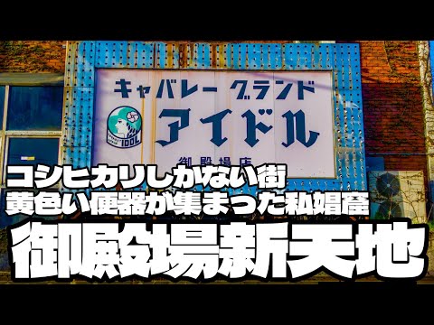 コシヒカリしかない街 黄色い便器が集まった私娼窟「御殿場新天地」