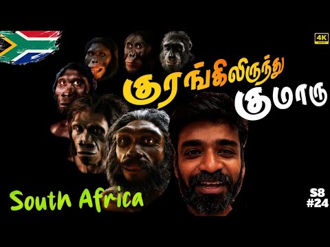 🦍 உலகின் முதல் மனிதன் யார்? 🏃‍♂️| 🇿🇦South Africa ep4