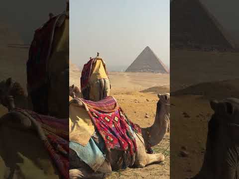 A visit to the Pyramids and Sphinx of Giza in Egypt (including street dogs)