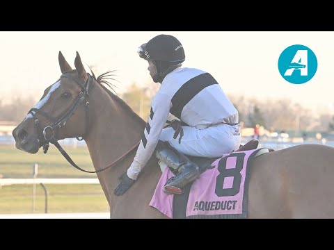 Talking Horses pres. by Saratoga Water -  November 17, 2024