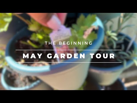 May Garden Tour | Small Space - I Heart Recipes #gardening #smallspacegarden #garden