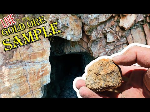 Gold Ore Sample From World War 2 Gold Mine!