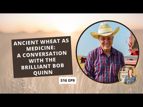 S16: E9: Ancient Wheat as Medicine: A Conversation with the Brilliant Bob Quinn