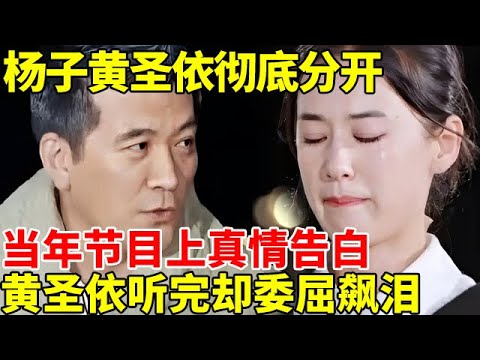 杨子黄圣依彻底分开，当年节目上真情告白，黄圣依听完却委屈飙泪，原来一切早有迹象【对话明星人物】#明星第一现场