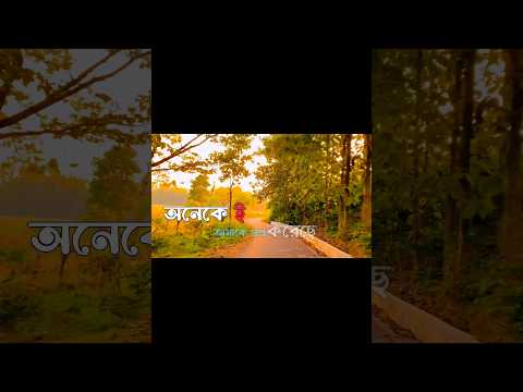 তুমি ছেড়ে যাওয়ার পরে অনেকেই আমাকে প্রশ্ন করেছে..