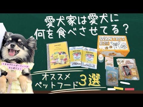 愛犬家が愛犬に食べさせているご飯【オススメペットフード3選+番外編おやつとやぎミルク】