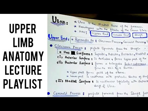 Introduction to Upper Limb Anatomy | Dr. Deen Lectures