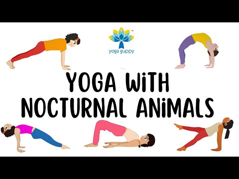 Easy Yoga Poses for Strength and Flexibility | Fun Facts about Nocturnal Animals | Yoga Guppy