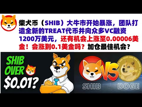 柴犬币（SHIB）大牛市开始暴涨，团队打造全新的TREAT代币并向众多VC融资1200万美元，还有机会上涨至0.00006美金！会涨到0.1美金吗？加仓抄底最佳机会？#shib币#柴犬币#屎币行情分析