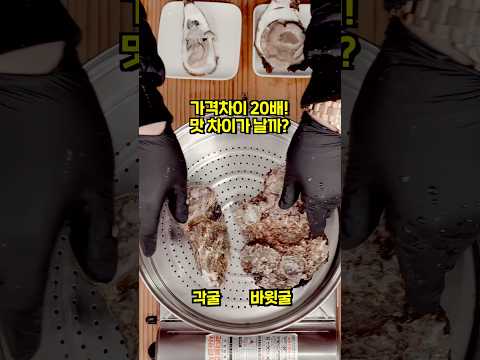 20배 가격차이 각굴과 바위굴 맛 차이가 많이날까? #shorts