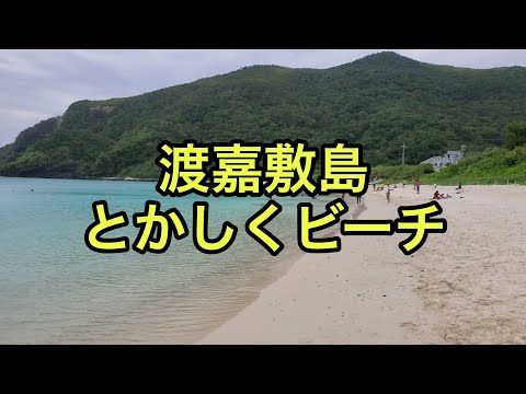 【海の絶景】渡嘉敷島のとかしくビーチ（沖縄県）「丁度いい賑やかさのビーチ」