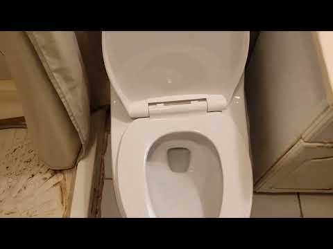 How to replace your old toilet by Glacier Bay McClure 12 inch Rough In One-Piece  Dual Flush