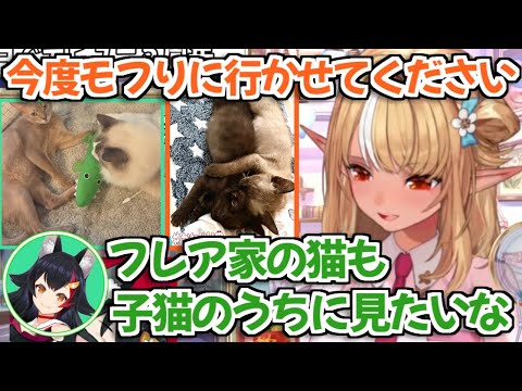 【ホロライブ切り抜き】珍しく凸に来たミオしゃとお互いの猫をモフりに行く約束をしたフレアちゃん【不知火フレア 大神ミオ】