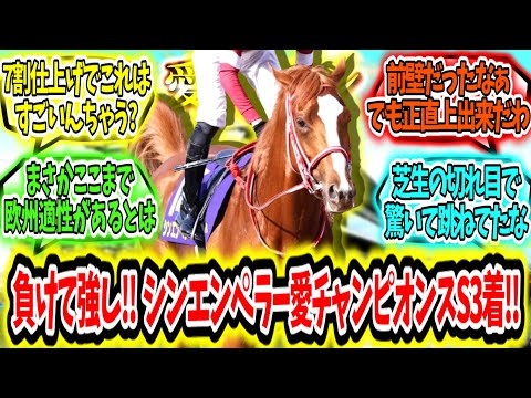 『負けてなお強し‼シンエンペラー愛チャンピオンステークス3着健闘！』に対するみんなの反応【競馬の反応集】