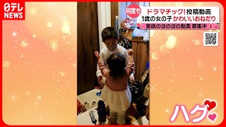 【投稿動画】お兄ちゃんが好き過ぎて…『every.特集』