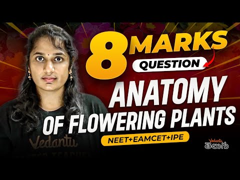 Anatomy Of Flowering Plants 8 Mark Questions | IPE & EAPCET Questions | NEET BIPC | EAPCET 2025