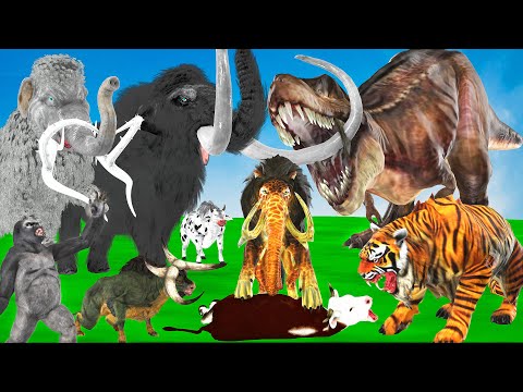 Giant Tiger Monster Lion Mammoth Vs Big Bulls Cow Gorilla Saved by 2 Woolly Mammoth Fight Dinosaurs