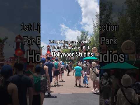 What Should I Lightning Lane First?!?! Hollywood Studios Disney World