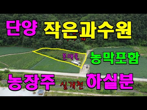 단양작은과수원 농장주하실분 농막포함/단양과수원/단양군토지매매/단양군부동산/단양군귀농귀촌