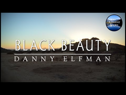 Black Beauty | Calm Continuous Mix