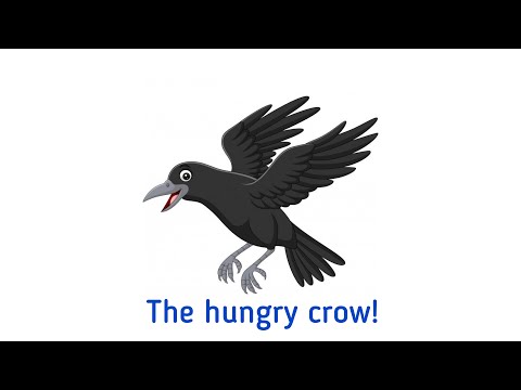 The hungry crow! Have a look!! #crow