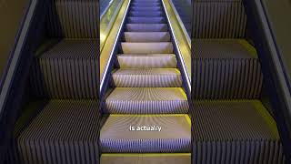 Why Escalator Steps Have Grooves 😯 (important)