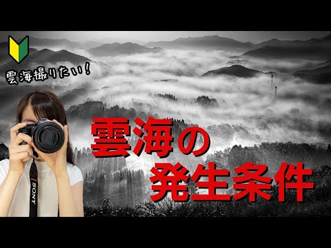 【雲海予想】雲海が発生しやすい条件