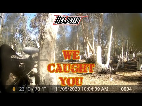 We Caught You 11/5/23 Paintball