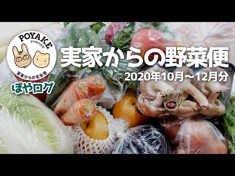 【ぽやログ】実家からの宅急便 - 2020年10月-12月分【ぽや家｜072】いつもありがとう♥