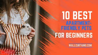 10 Best Apartment Friendly Pets for Beginners