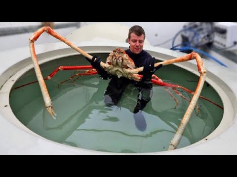 15 Most Unique Animals You Won’t Believe Exist